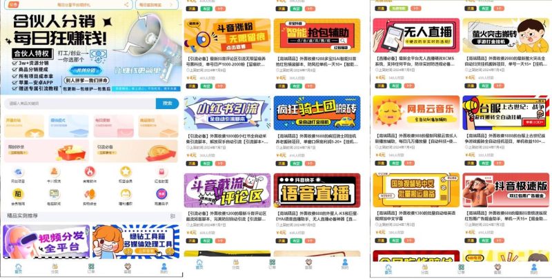 1280X1280-800x404.jpeg 搭建同款网站,做站长,月入2W+